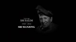 Video thumbnail of "TAN SRI SM SALIM - LIRIK LAGU SRI MANJONG"