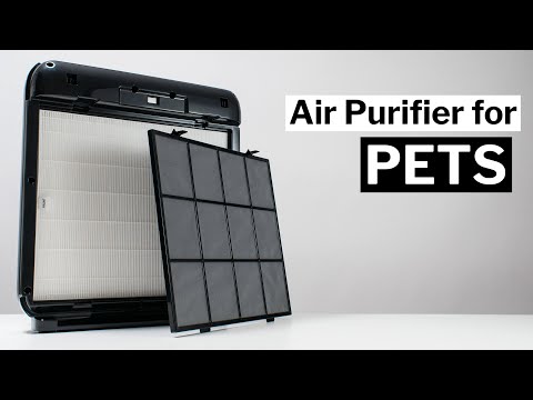 the-best-air-purifier-for-pets