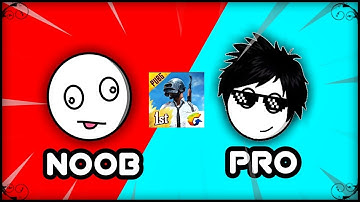 NOOB VS PRO | PUBGM | Animation video