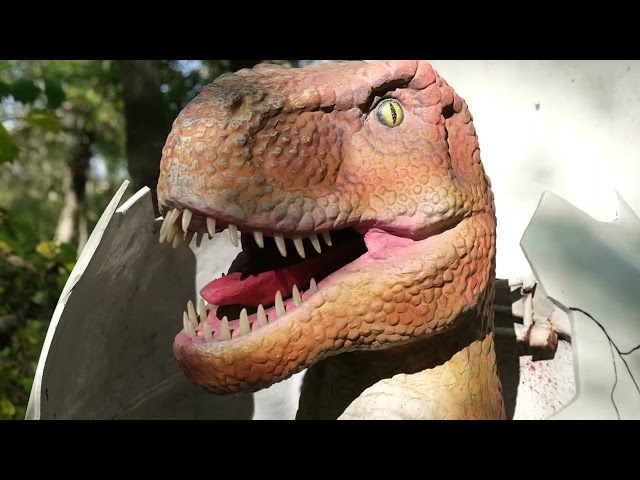 The Bar Stool Preachers "Call Me On The Way Home" (Reimagined) (Official Music Video)