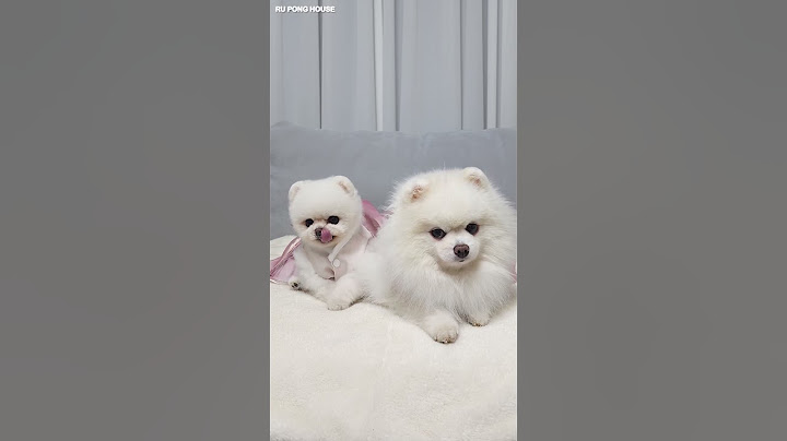 세뱃돈은 엄마 몰래 주세요~