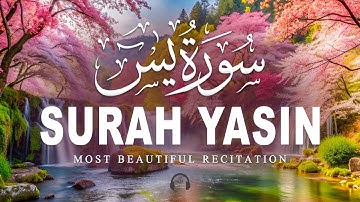 Surah Yaseen سورة يس | Relaxing Lofiquan for Peaceful Sleep & Inner Calm | Quran for Sleep