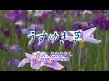 弦哲也の世界♪うすゆき草♪【カラオケ】