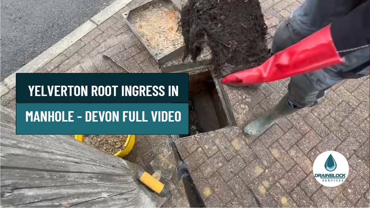 Manhole Root Control YELVERTON ROOT INGRESS in Manhole - Devon FULL VIDEO - #drainunblocking ...