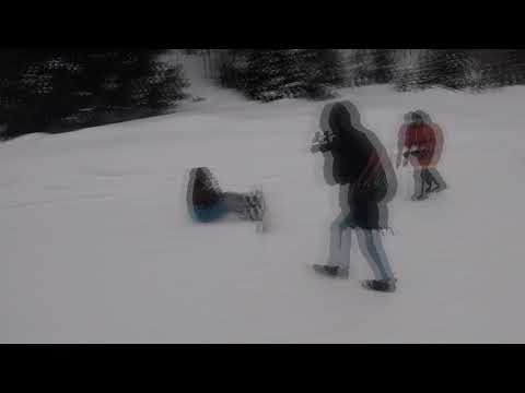 ხელის თხოვნა სნოუბორდ აკადემის სტილში/Snowboard Academy wedding