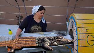 Spring In The Village We Are Cooking Crocodile Alligator Bread