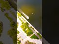 Энергодар с дрона 2020. Обзор города с высоты птичьего полета #энергодар #заэс #shorts
