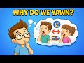 Why Do Humans Yawn? #dimsum #scienceforkids