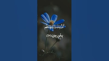 إن المتقين في مقام أمين / الشيخ أحمد النفيس / سورة الدخان