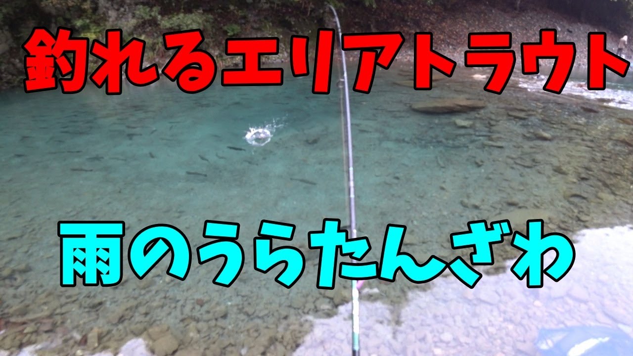 【ゆっくり釣行動画】25/10/25　トラウトシーズン到来？！うらたんざわ渓流で過去一番の釣果