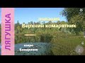 Русская рыбалка 4 - озеро Комариное - Лягушка среди голавлей