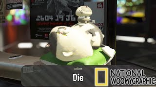 National Woomygraphic - The Judd Justification