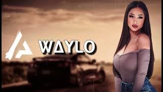 Arabic Remix   Waylo Laziz Azimov & Hayit Murat Remix ｜ ريمكس عربي   وايلو 2021