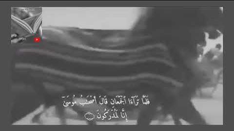 تلاوة خاشعة وآيات مباركة من سورة الشعراء📚/القارئ عبد الله الموسى/حالات واتس أب دينية.💞