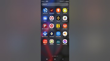 BDG DEPOSIT ISSUE MAKE STATEMENT ANS VIDEO RECORD