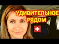 удивительный день открытий | осваиваем территорию возле дома