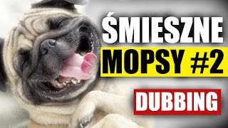 ŚMIESZNE MOPSY #2 😂 DUBBING: MATT OLECH