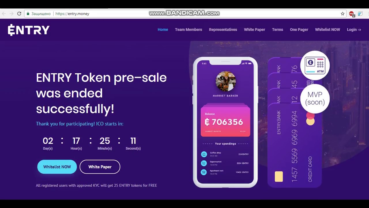 ICO Entry / Обзор проекта на русском языке
