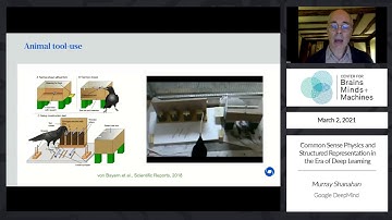 Common Sense Physics and Structured Representation in the Era of Deep Learning