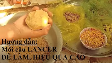 Hướng dẫn làm mồi câu lancer ĐƠN GIẢN VÀ HIỆU QUẢ câu cá tự nhiên