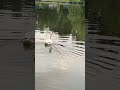 وأنت لحادثات الدهر حسبي وأنت لحادثات الدهر حسبي