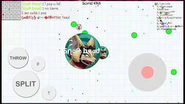 Blob.io|one crazy trick pop or double?