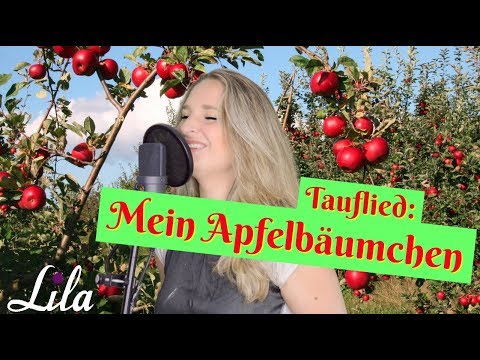 Wir wünschen dir Liebe! - Sunny Dale Cover I Taufe I Bauchgefühl