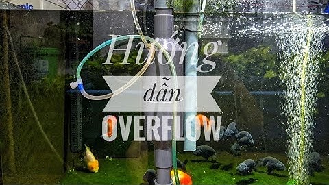 Fish 114: Nguyên lý hoạt động của Overflow. Những sai lầm thường gặp