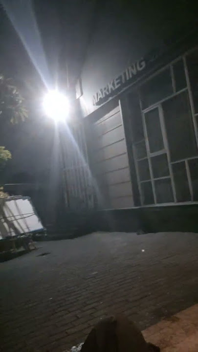 Anjing dan sampah