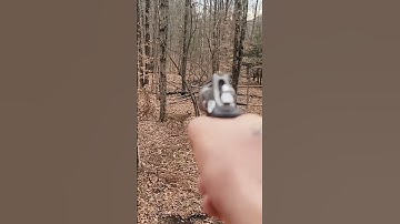 Best shot of  Deer with Revolver #hunting #deer#moose#chasse