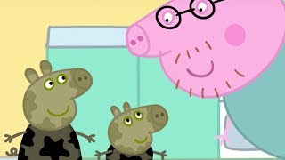 Peppa Pig In Hindi - Muddy Puddles - हद Kahaniya - Hindi Cartoons For Kids