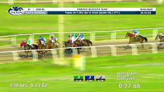 Vidéo de la course PMU PRIX BUDISTA DAN (1ER PELOTON)