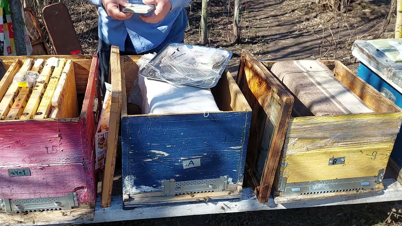 Adaug de e necesar, turtă proteică, energetică sau cu vitamine.