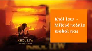 Król lew - Miłość rośnie wokół nas (tekst)