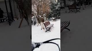 Baku City Winter ,Baku Snow 2023 ,Baku Azerbaijan , Baku Cycle Riding In Winter , How Snow In Baku