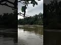 ഇഷ്ടപ്പെട്ടെങ്കിൽ സബ്സ്ക്രൈബ് ചെയ്യണേ #shortvideo #fishingmalayalam