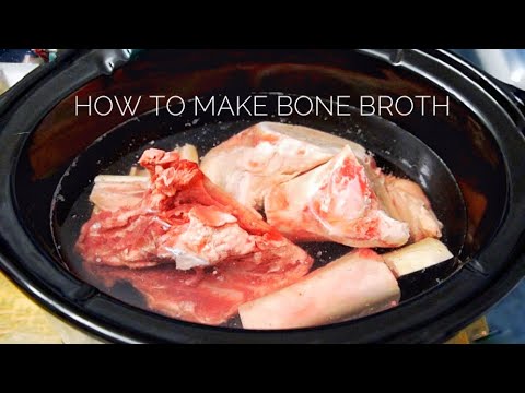 Making Bone Broth for Your Dog: A How-To [Upd. 2 days ago]