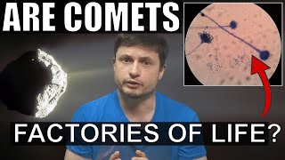 Evidence That Comets Played a Major Role In Formation of Life on Earth