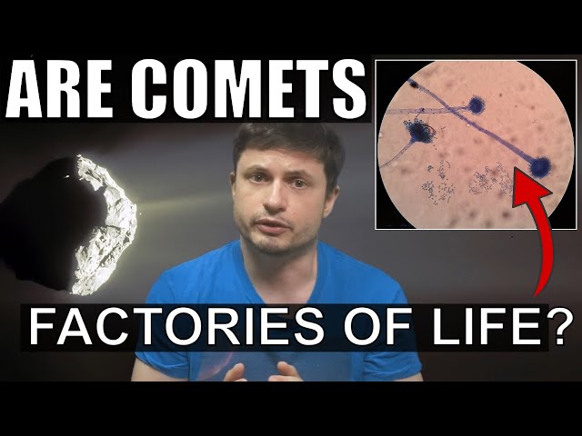 Evidence That Comets Played a Major Role In Formation of Life on Earth class=