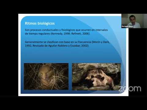 7° Simposio "Enfoque Multidisciplinario de la Diabetes" versión virtual - 5° día (Vespertino)