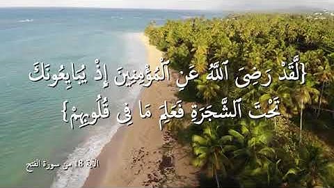 الآية 18 من سورة الفتح ( لقد رضي الله عن المؤمنين إذ يبايعونك تحت الشجرة )