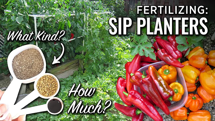 Easy Vegetable Fertilizer for Home Gardening in Wicking Planters & Containers -DIY Potting Mix Tips - DayDayNews