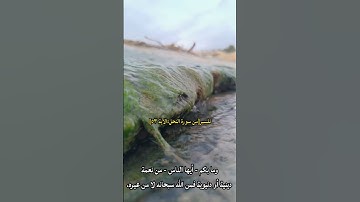 تلاوة جميلة جداً وخشوع ومؤثرة للقارئ الشيخ ماهر المعيقلي من سورة النحل استمع وتمتع بصوت وريح قلبك ♥♥