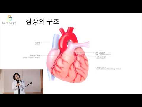 [건강강좌] 심혈관질환 증상과 치료