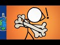 Human Body Bones and Anatomy