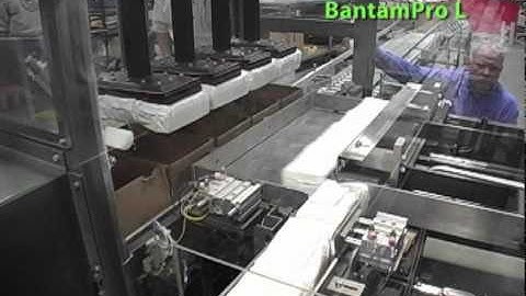 Brenton Case Packer: Loads Bags of Baby Wipes