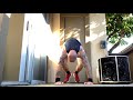 Wolf’s Hour of Power Burpee Routine (375 burpees, 800 pushups). (DESCRIPTION BELOW).