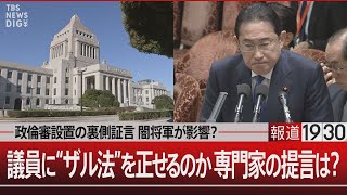 「政倫審設置の裏側証言 闇将軍が影響？／議員に“ザル法”を正せるのか 専門家の提言は？【2月26日（月） #報道1930】｜TBS NEWS DIG
