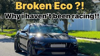 Mustang Ecoboost issues…