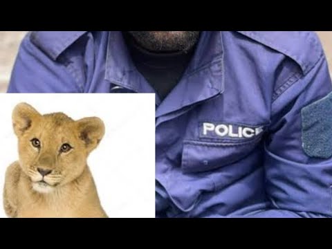 Haut Katanga La Misère Ou L Insécurité